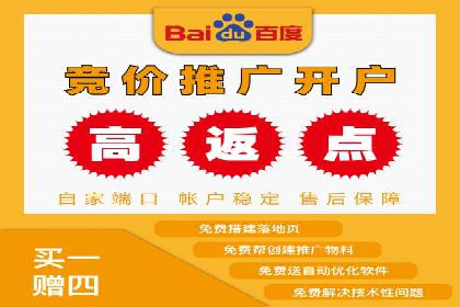 百度竞价托管运营策略案例分析